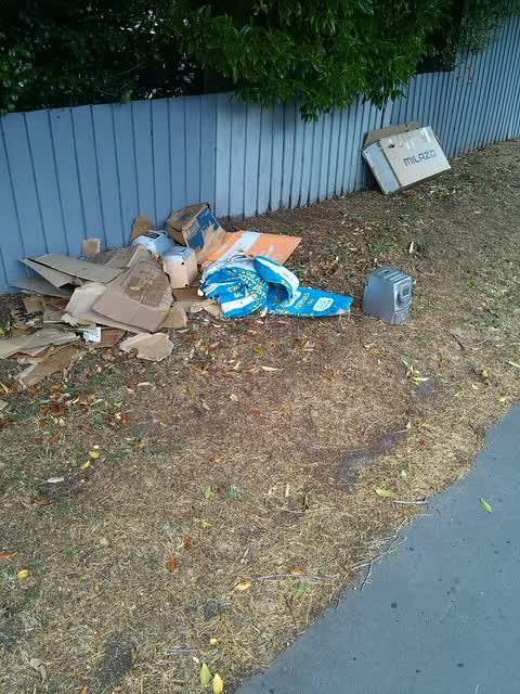 Rubbish/Recycling, a report photo