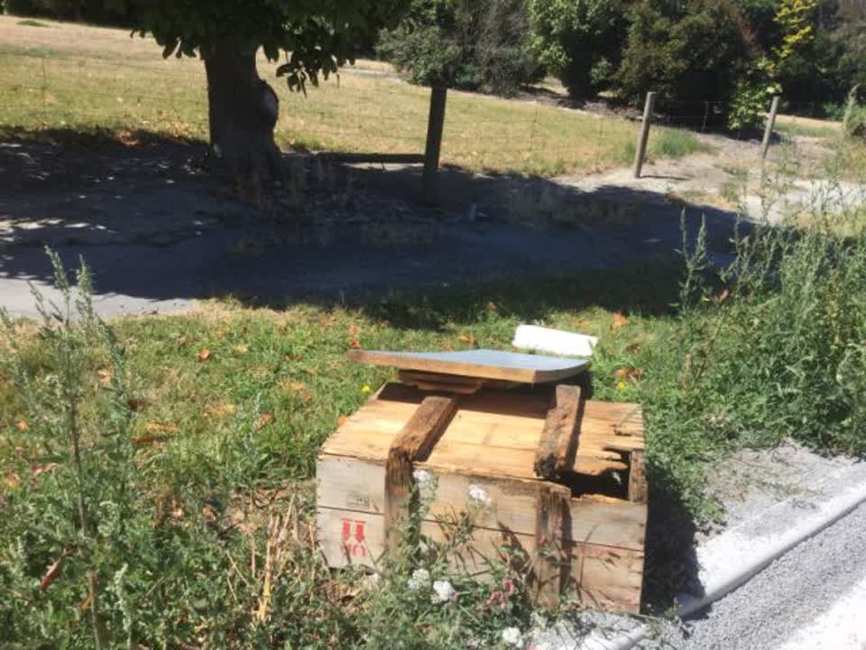 The photograph attached to this rubbish/recycling report