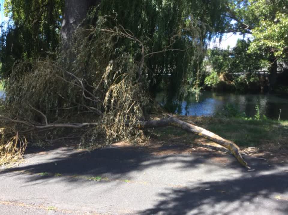 The photograph attached to this parks report