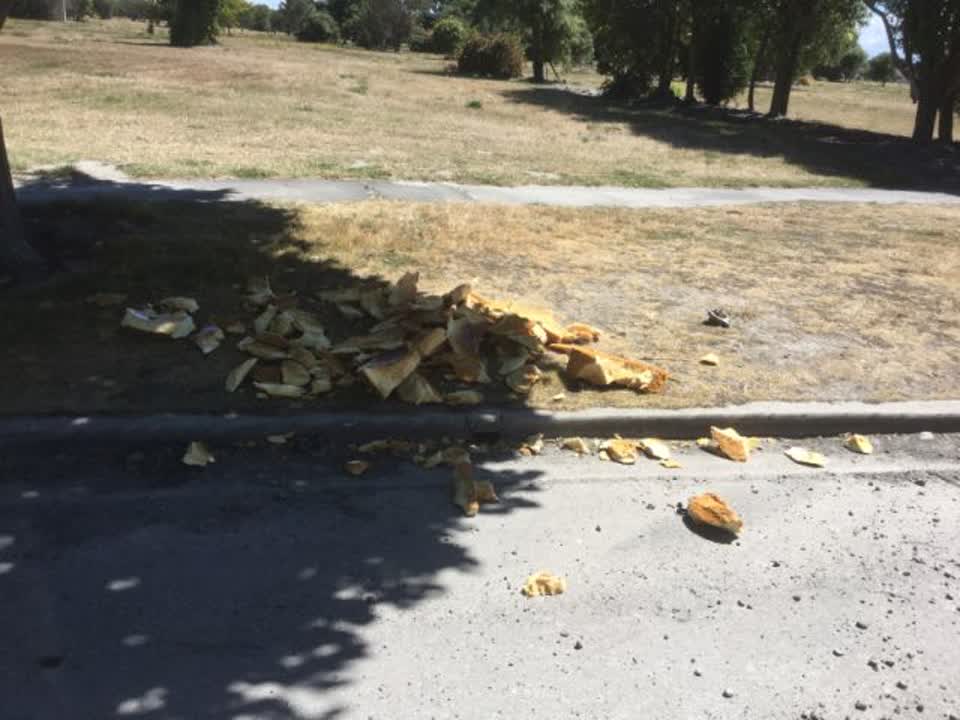 The photograph attached to this rubbish/recycling report