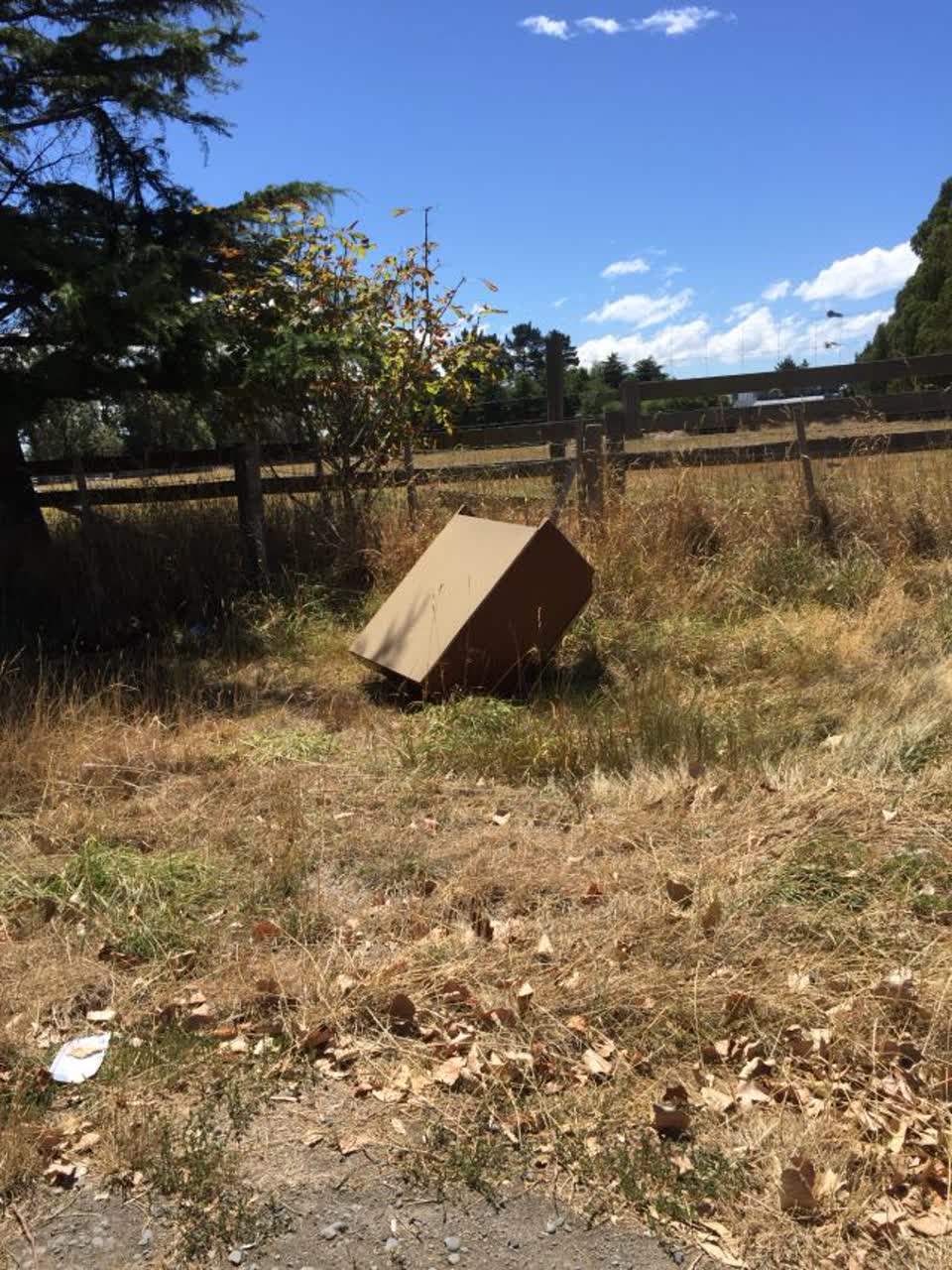 The photograph attached to this rubbish/recycling report