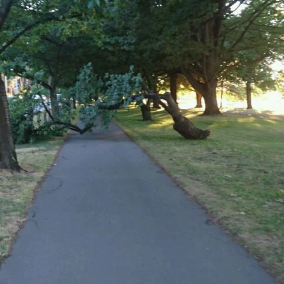 The photograph attached to this parks report