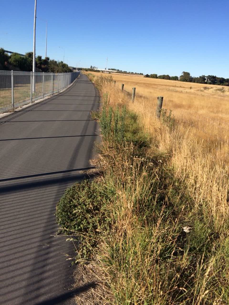 The photograph attached to this parks report