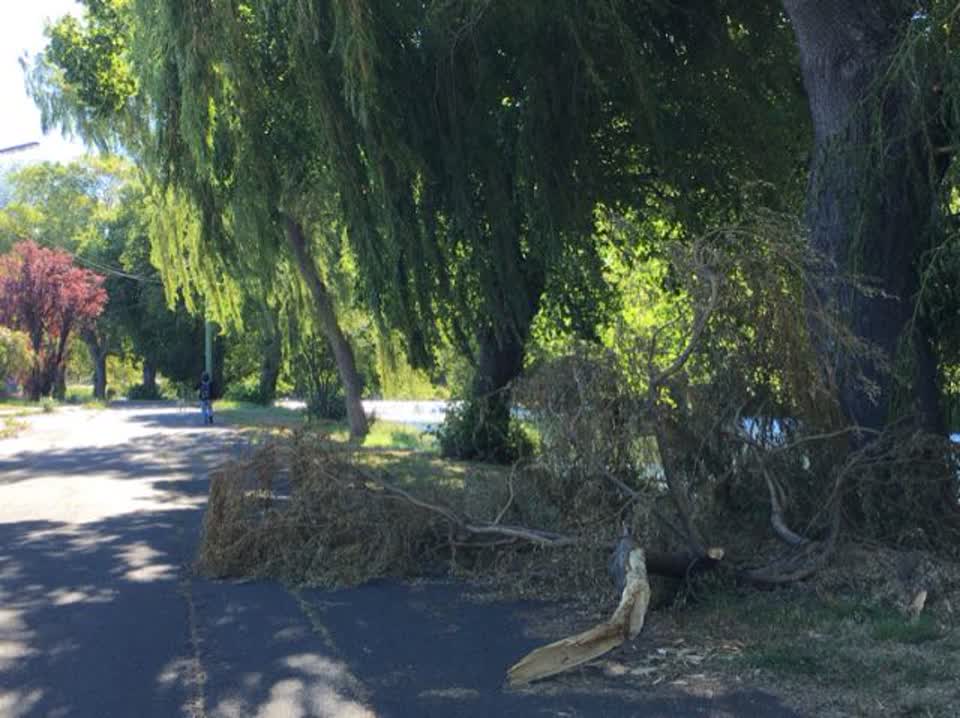 The photograph attached to this roading/streets report