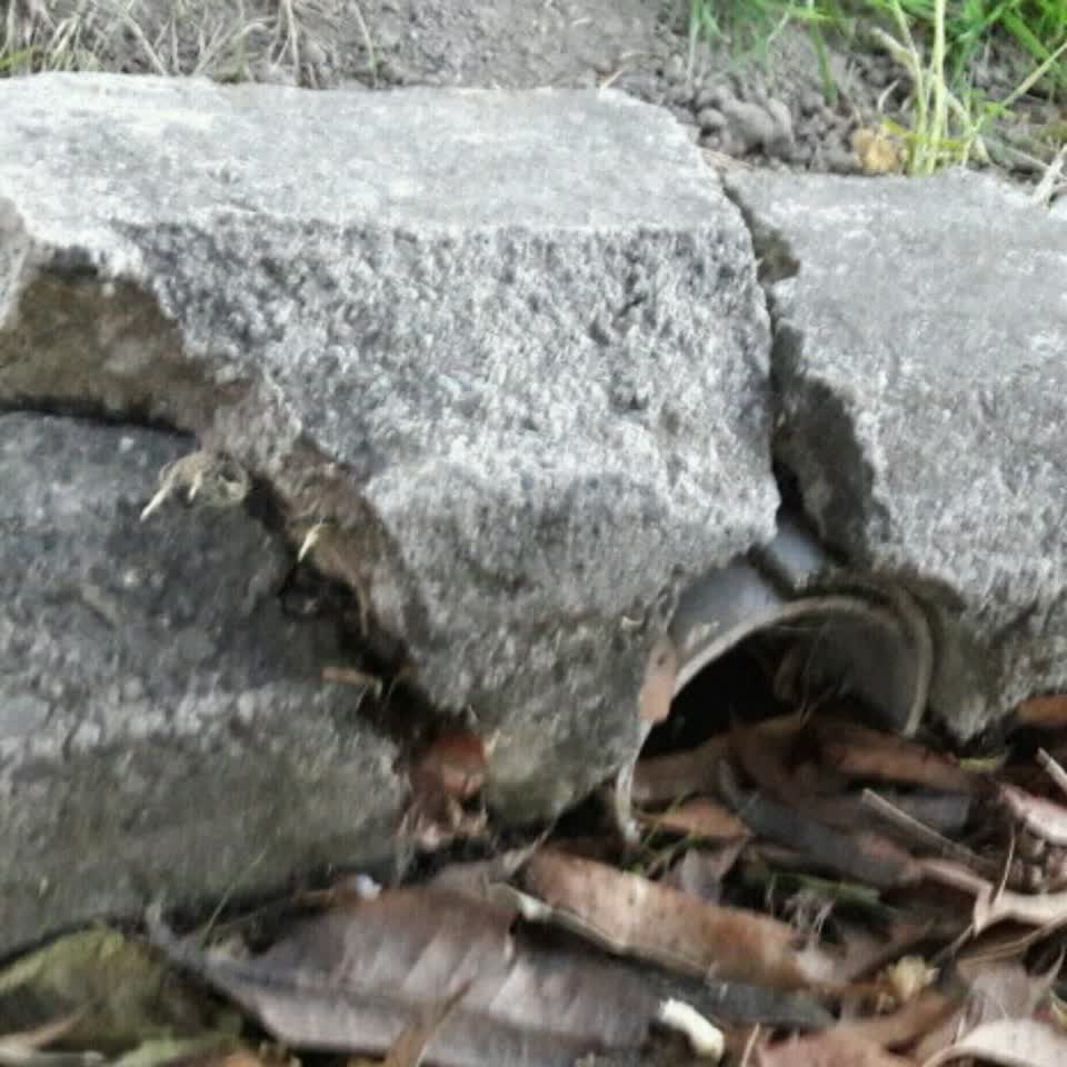 The photograph attached to this wastewater/stormwater report