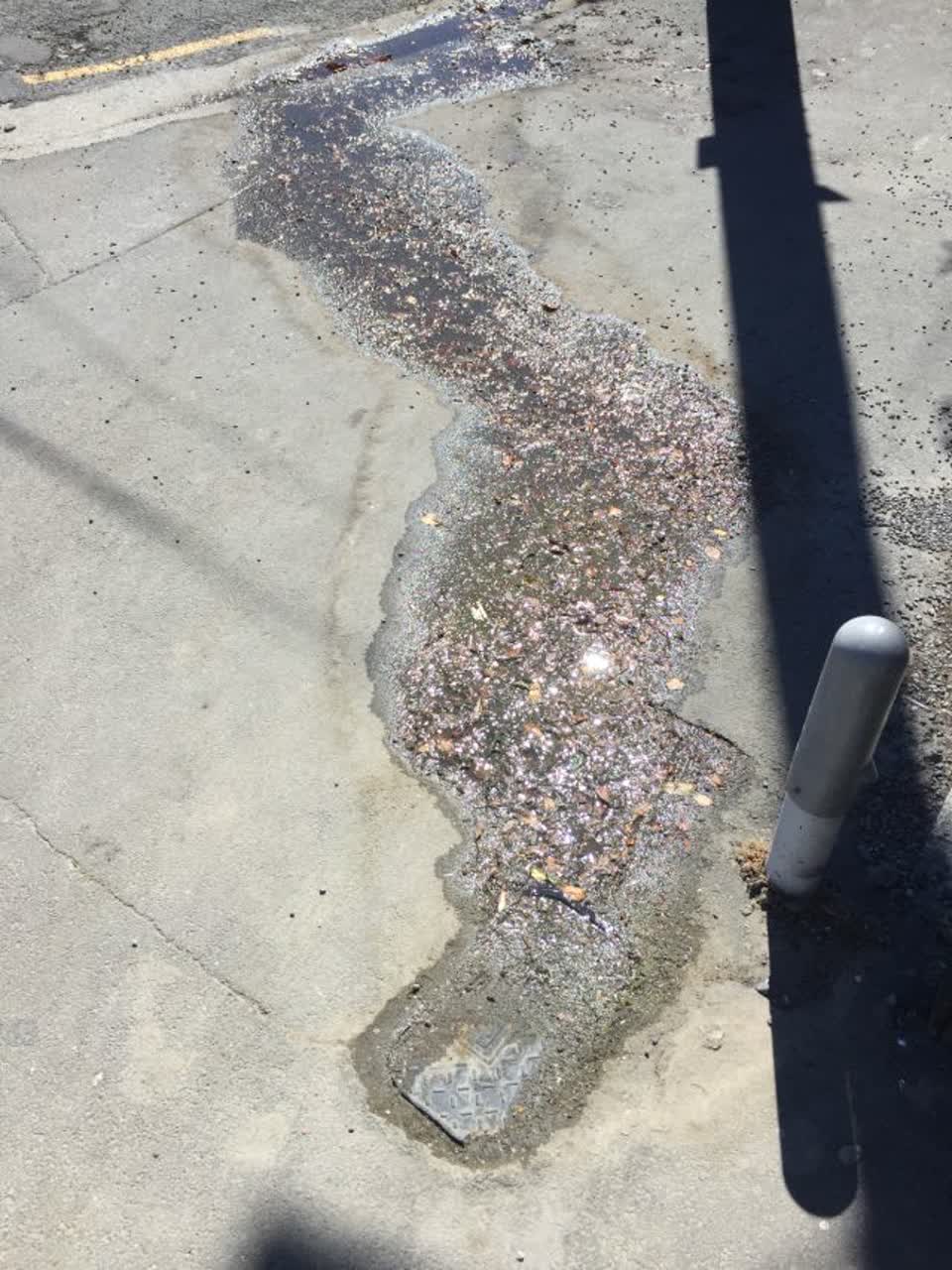 The photograph attached to this water supply report