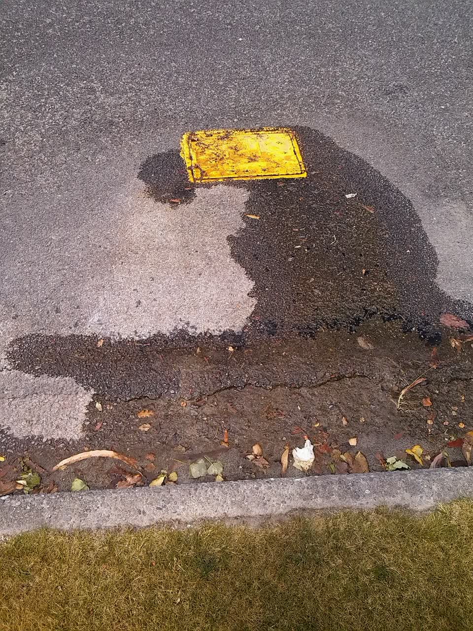 The photograph attached to this water supply report