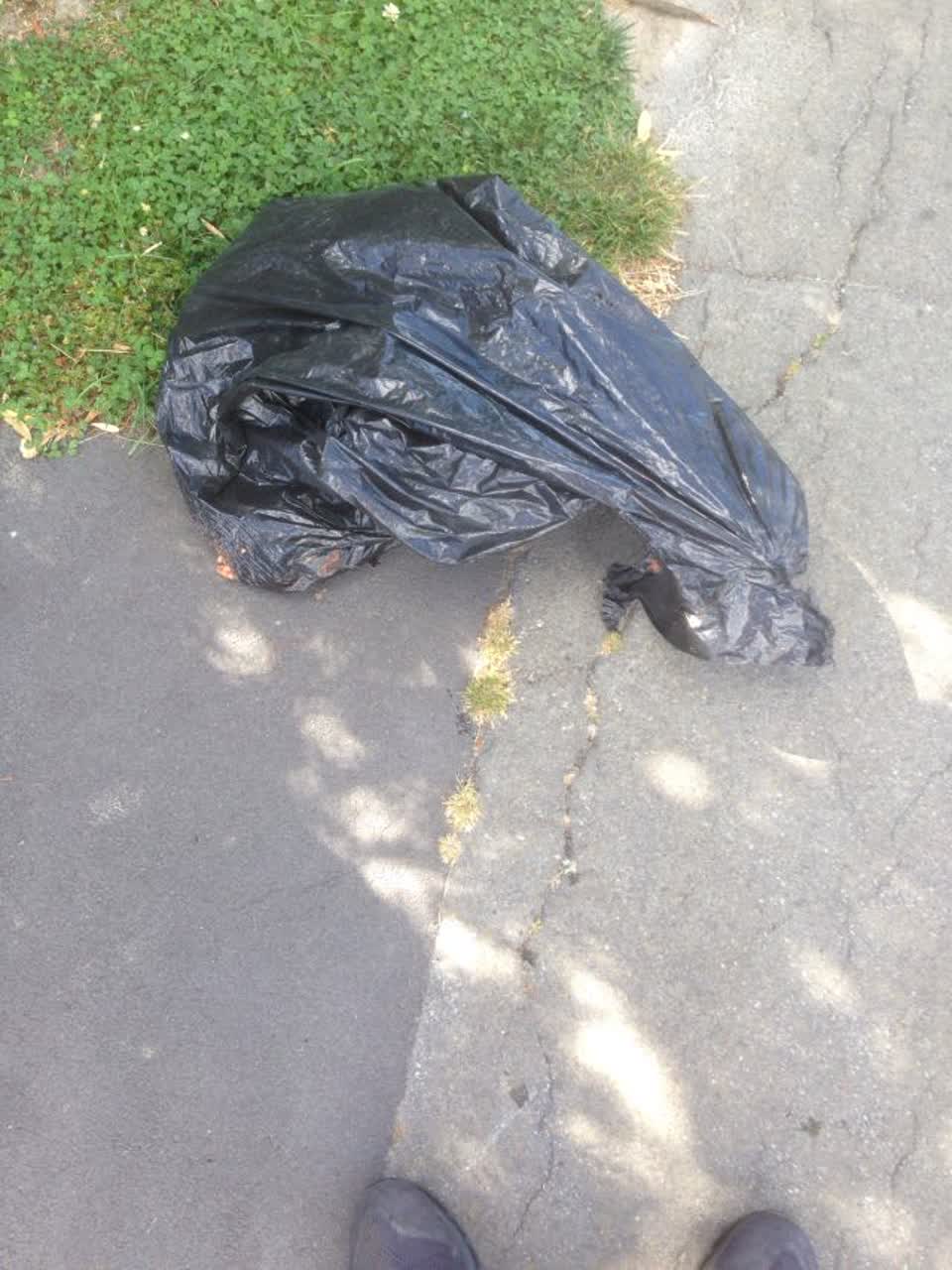 The photograph attached to this rubbish/recycling report