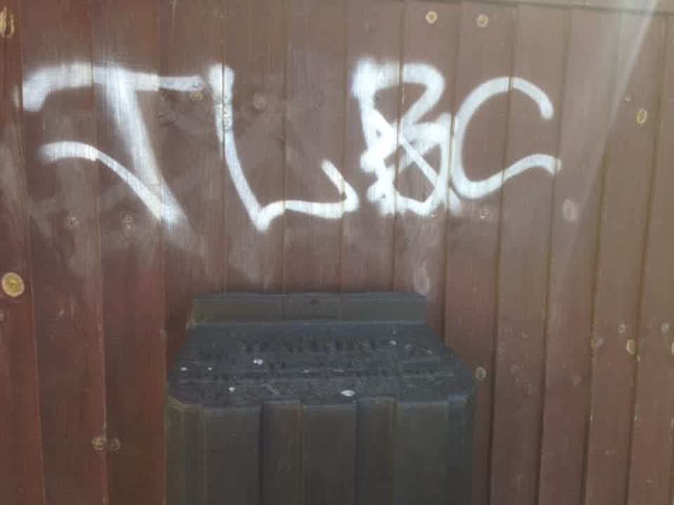 The photograph attached to this graffiti report