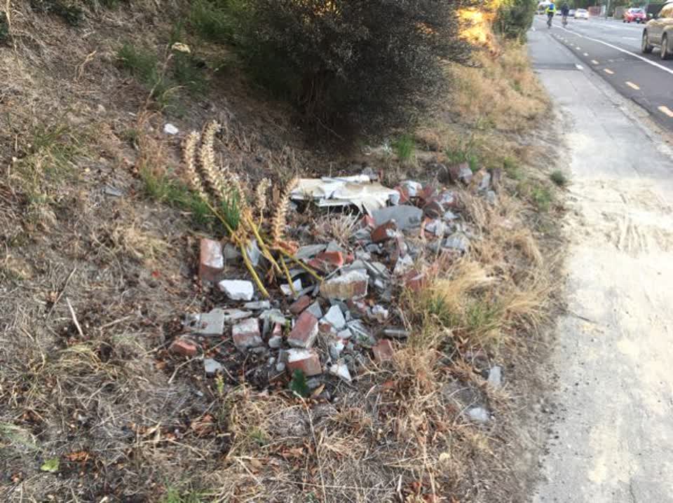 The photograph attached to this rubbish/recycling report