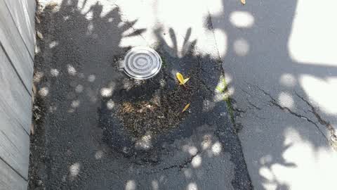 Water Supply, a report photo