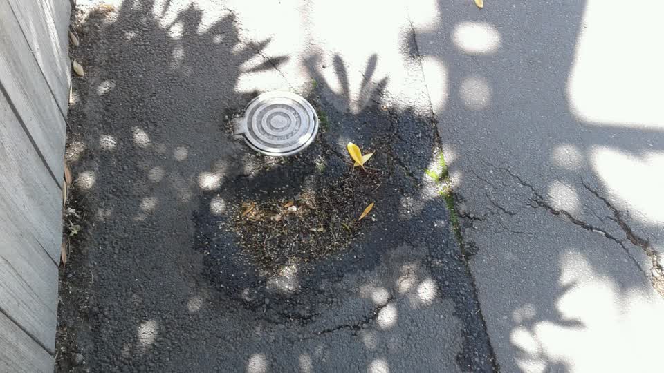 The photograph attached to this water supply report