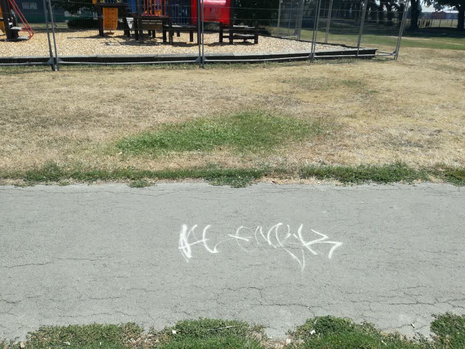 The photograph attached to this graffiti report