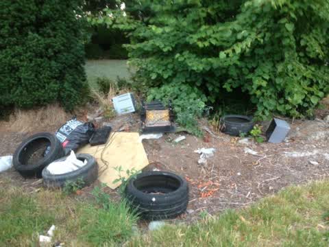 Rubbish/Recycling, a report photo