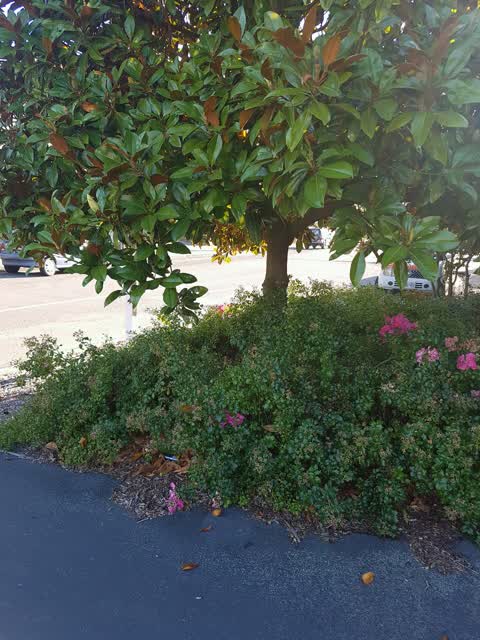 Roading/Streets, a report photo