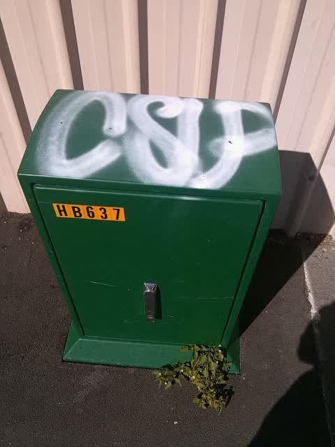 Graffiti, a report photo
