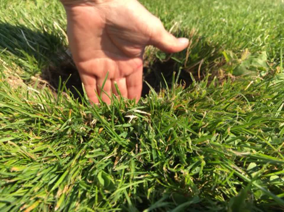 The photograph attached to this parks report