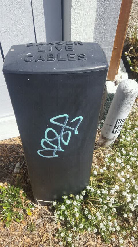 Graffiti, a report photo