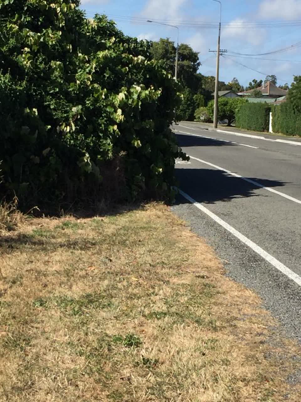The photograph attached to this roading/streets report