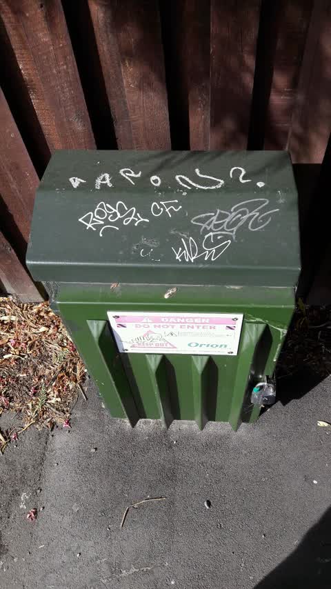 Graffiti, a report photo