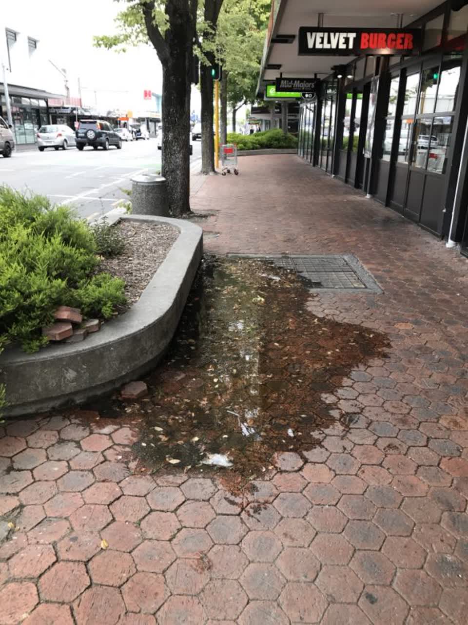 The photograph attached to this water supply report
