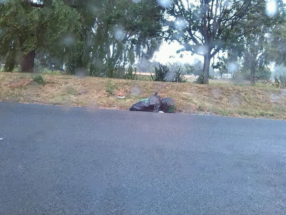 The photograph attached to this rubbish/recycling report