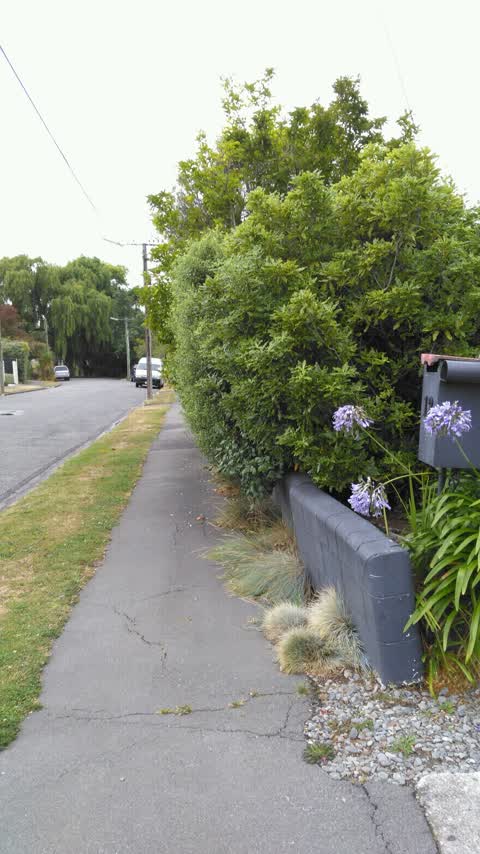 Roading/Streets, a report photo