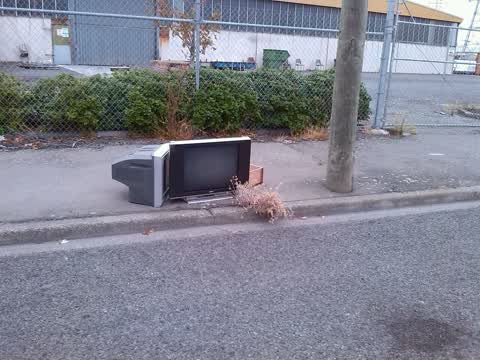 Rubbish/Recycling, a report photo