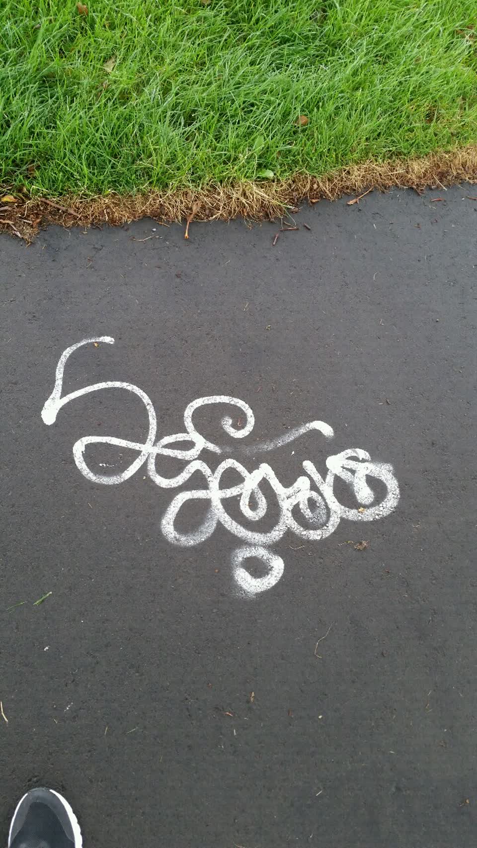 The photograph attached to this graffiti report