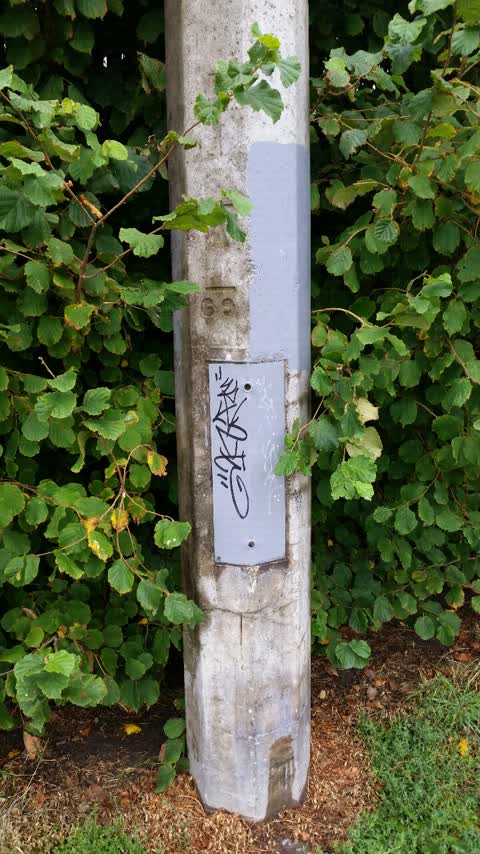 Graffiti, a report photo