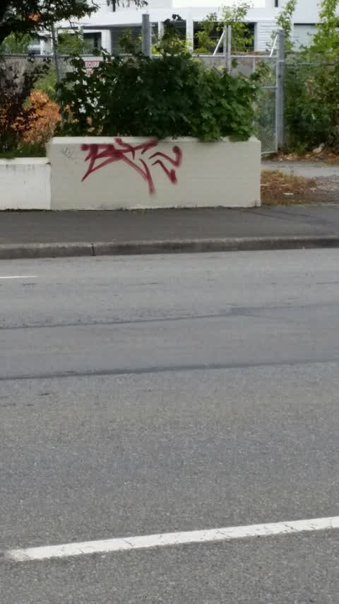 Graffiti, a report photo