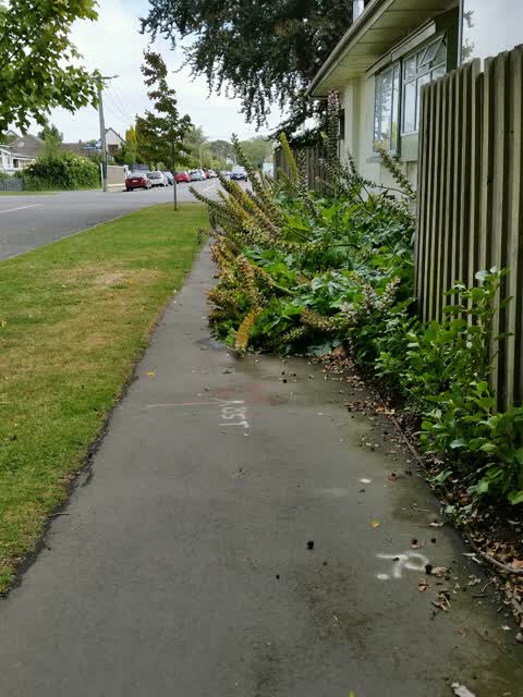 Roading/Streets, a report photo