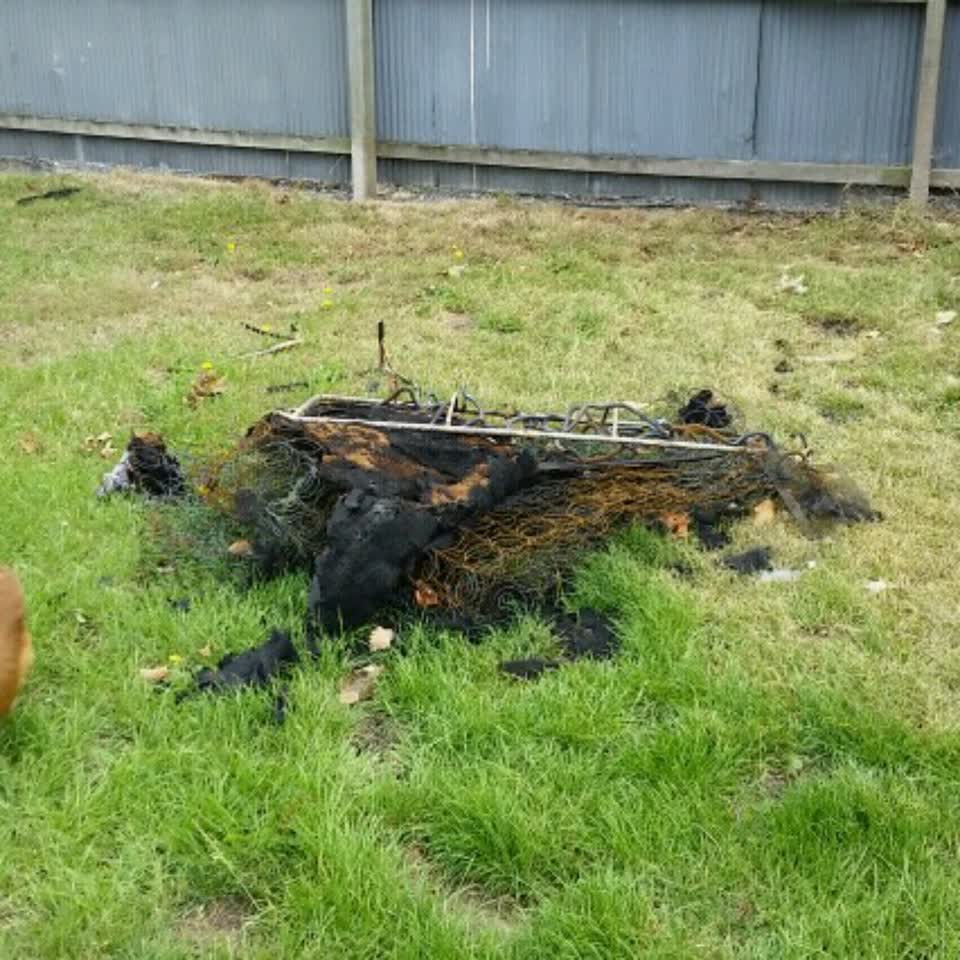 The photograph attached to this parks report
