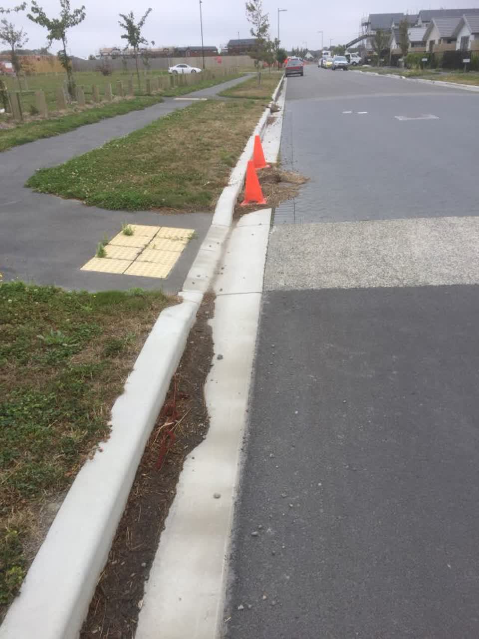 The photograph attached to this parks report