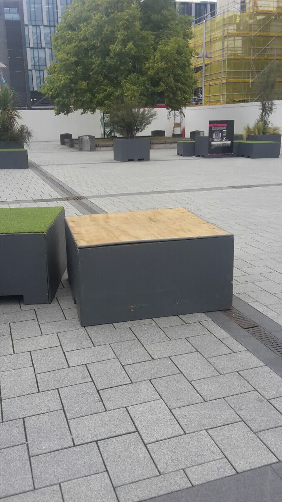 The photograph attached to this parks report