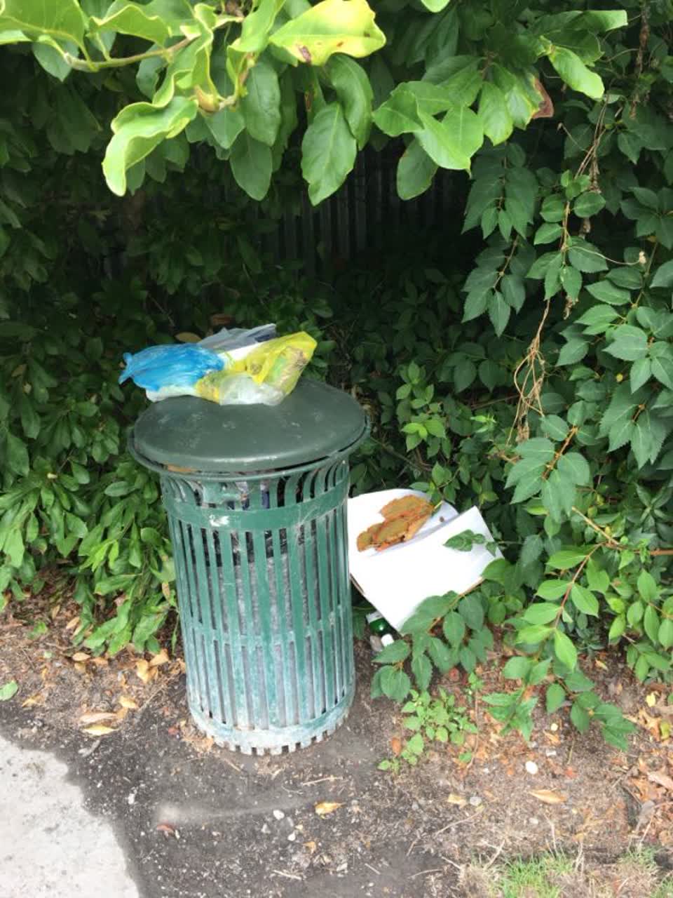 The photograph attached to this rubbish/recycling report