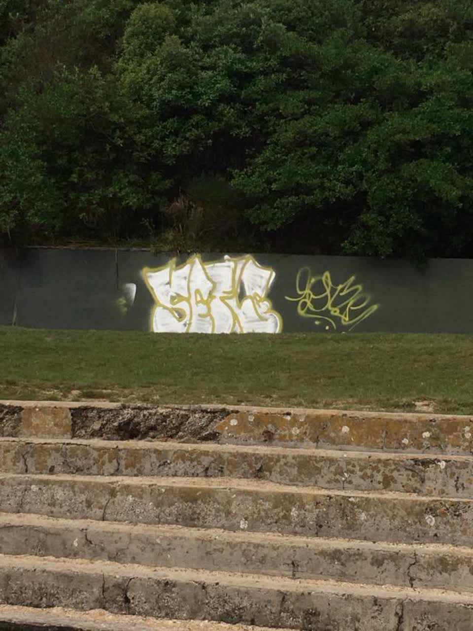 The photograph attached to this graffiti report