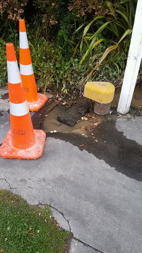 Water Supply, a report photo