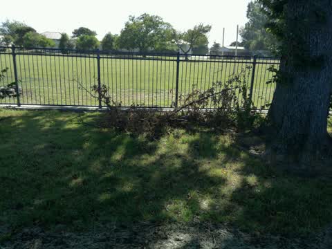 Parks, a report photo
