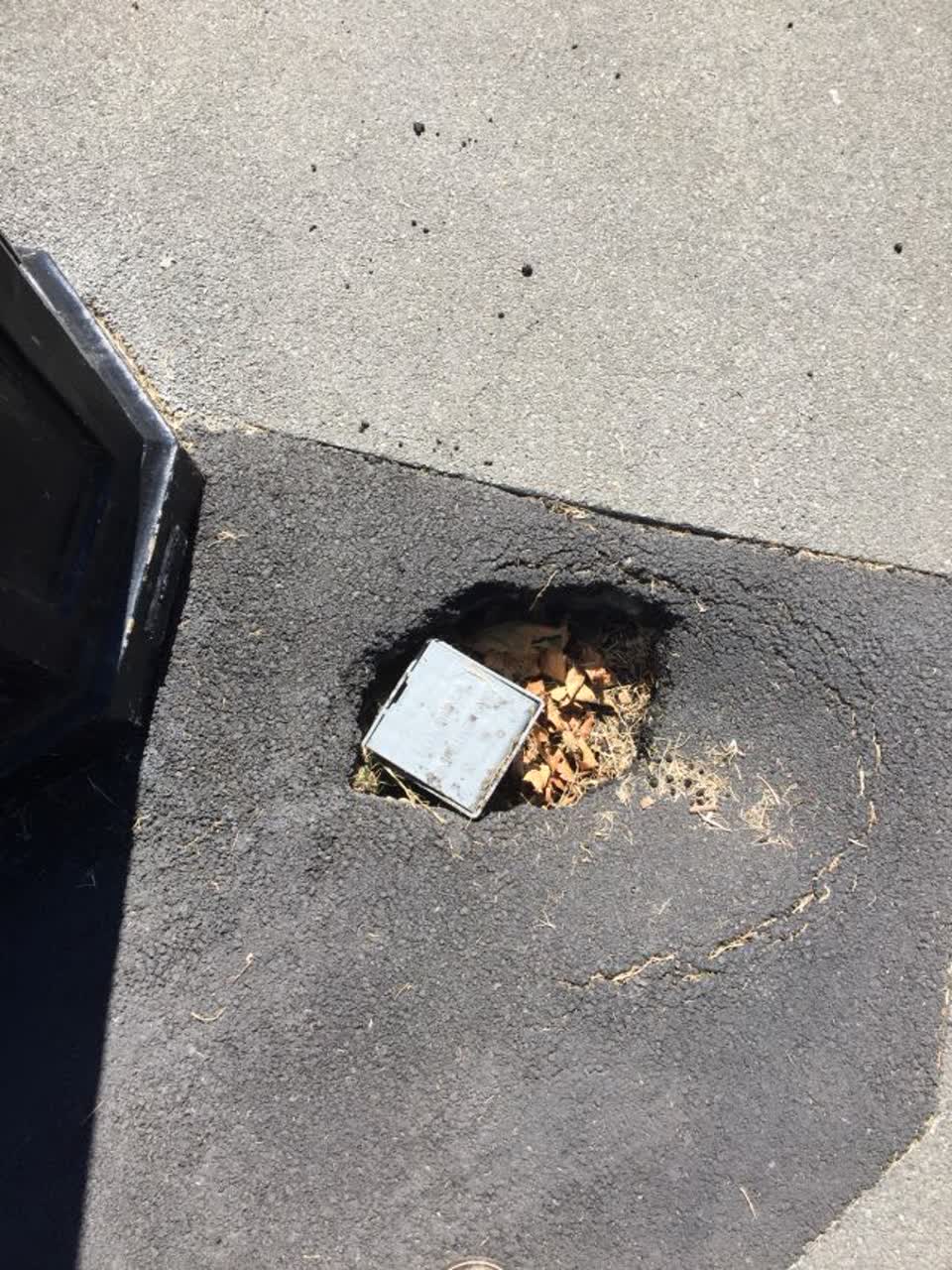 The photograph attached to this roading/streets report