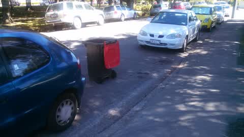 Rubbish/Recycling, a report photo