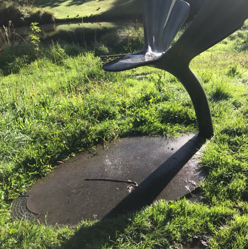 The photograph attached to this water supply report