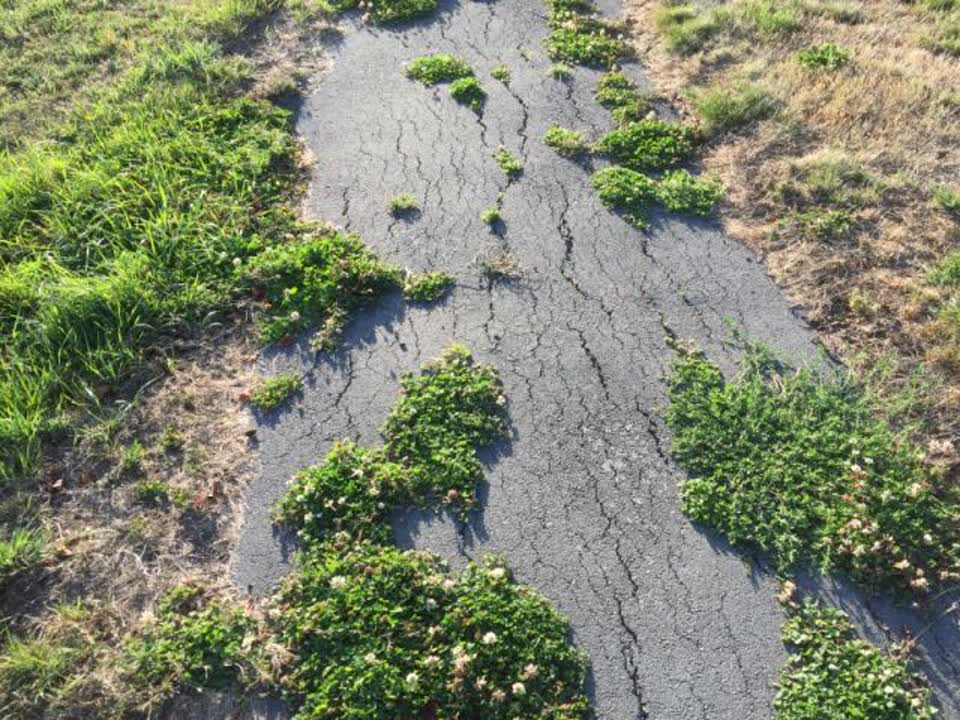 The photograph attached to this parks report