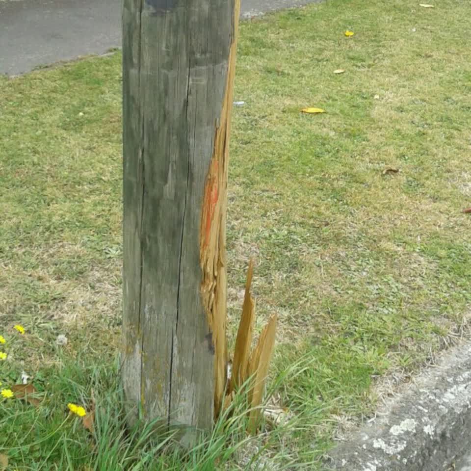 The photograph attached to this roading/streets report
