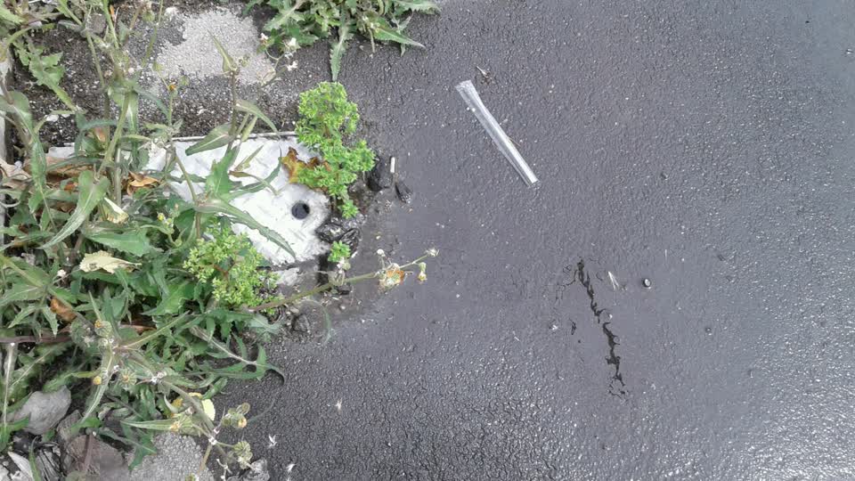 The photograph attached to this water supply report