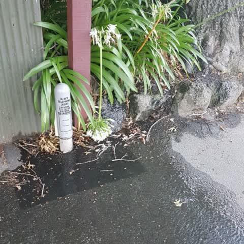 Water Supply — a report photo