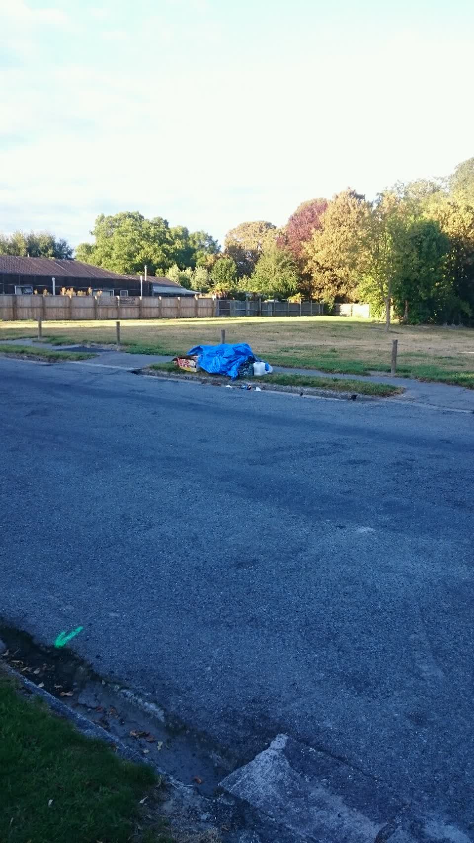 The photograph attached to this rubbish/recycling report