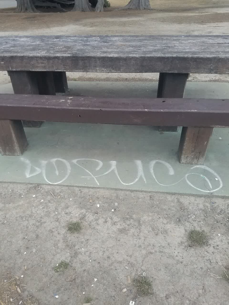 The photograph attached to this graffiti report