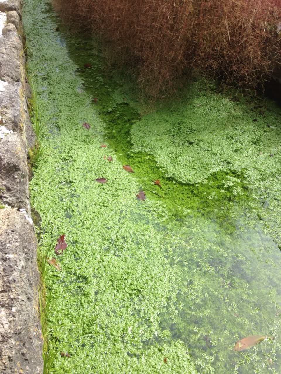 The photograph attached to this wastewater/stormwater report