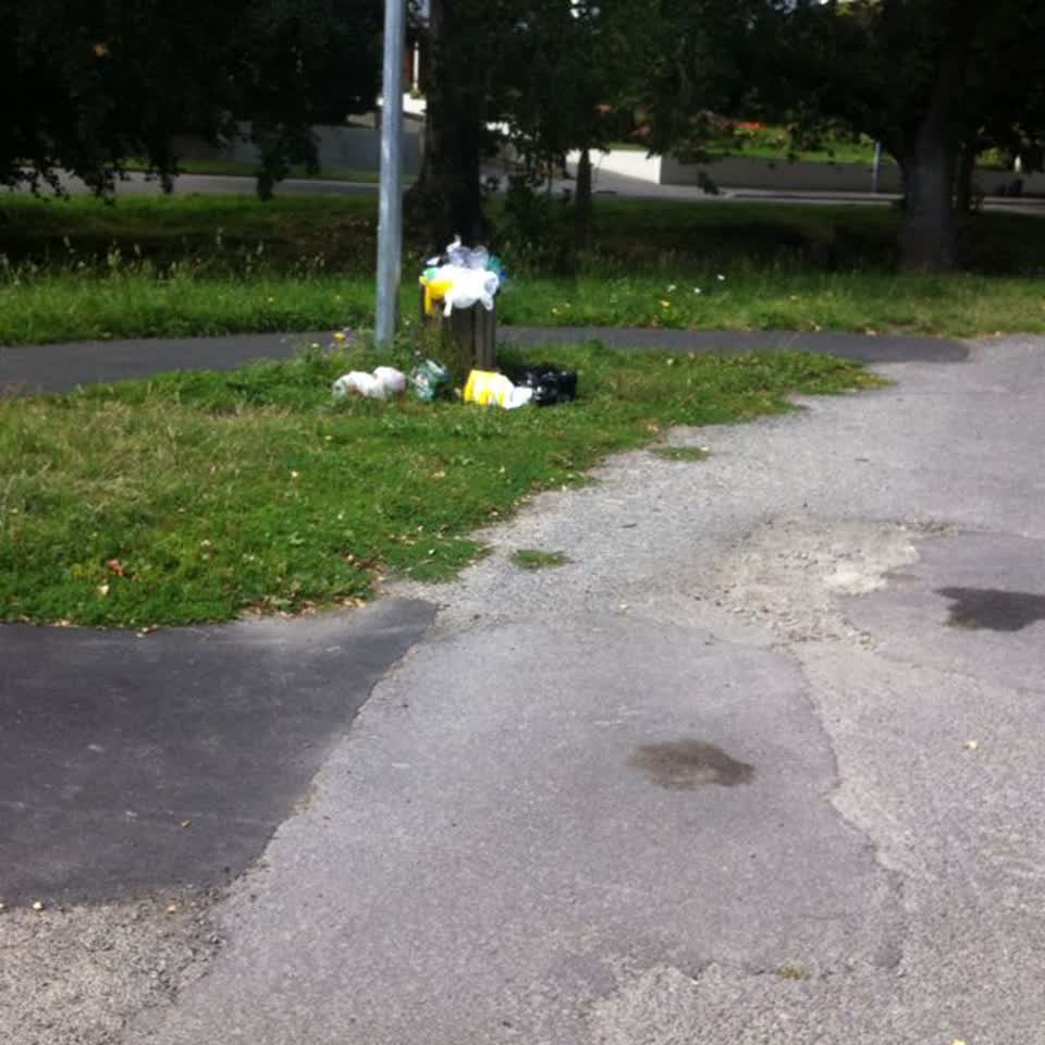 The photograph attached to this rubbish/recycling report